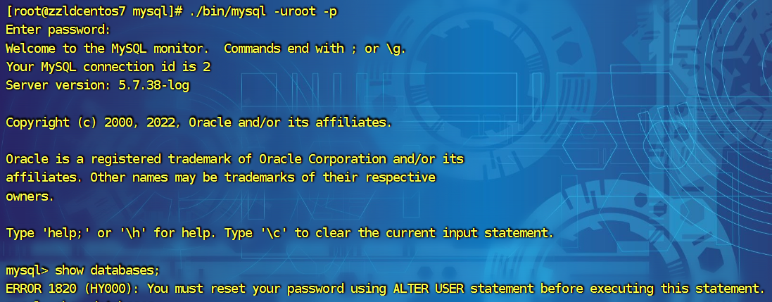 image-20240812170343154