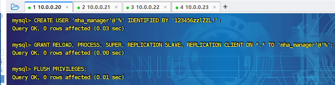 image-20240816102916342