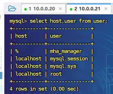 image-20240816102939696