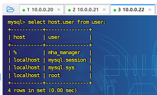 image-20240816103001090