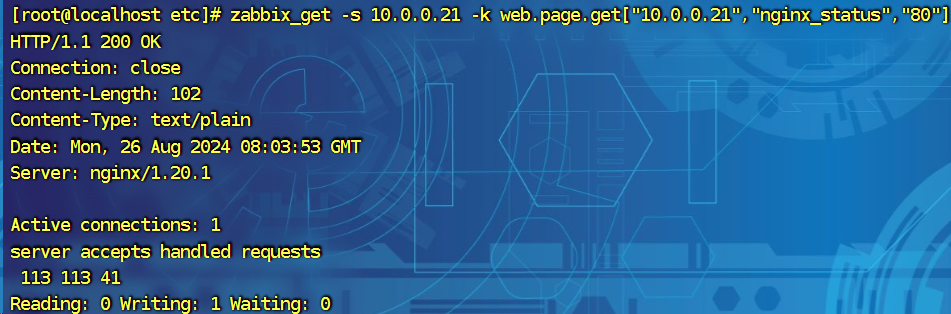 image-20240826164102732