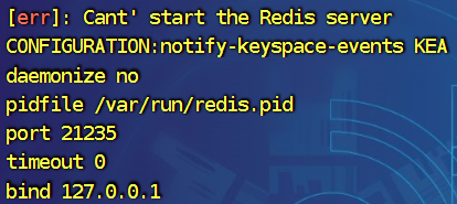 image-20240829111304770