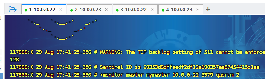 image-20240829174202426