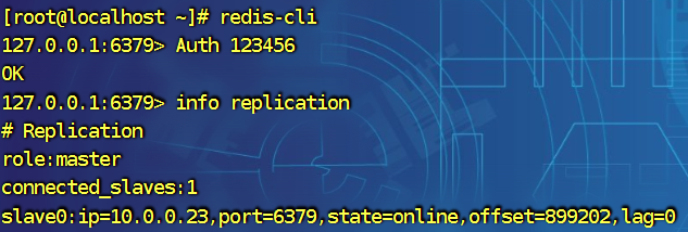 image-20240829195814668