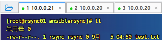 image-20240905142858677