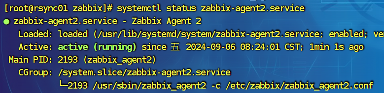 image-20240906155449943