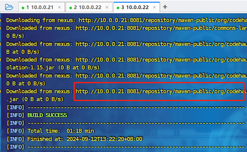 image-20240912134845374