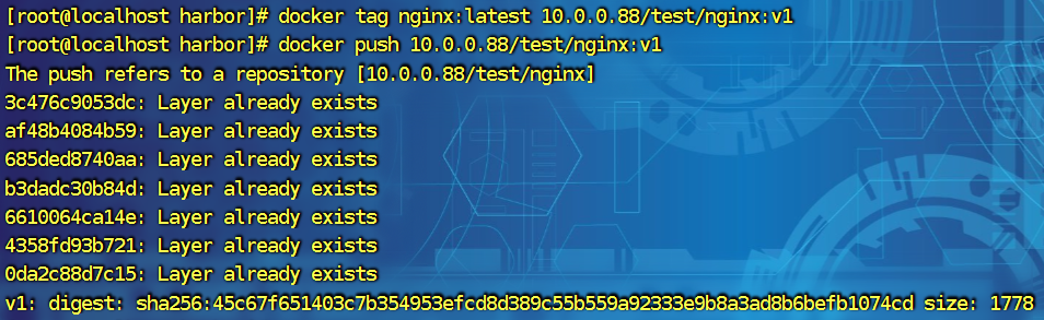 image-20240919140356973