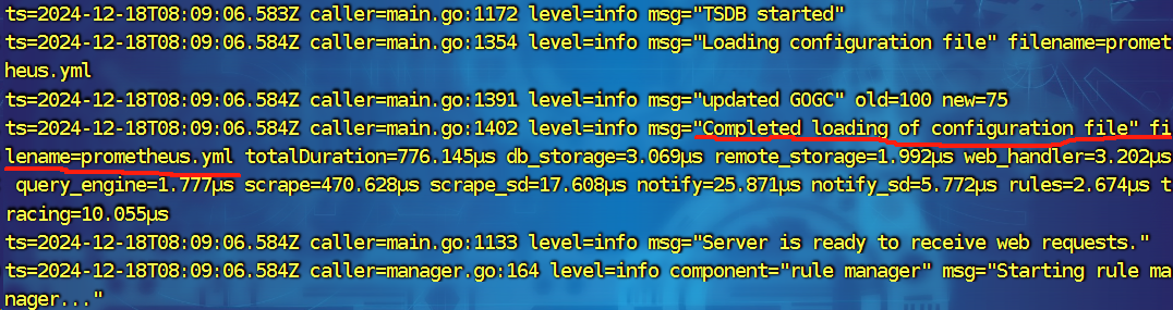 image-20241218172904524