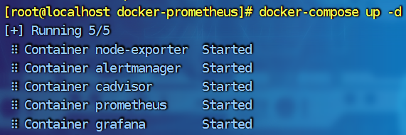 image-20241223132645273