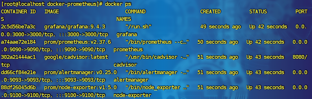 image-20241223132702084