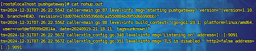 image-20241231153719542