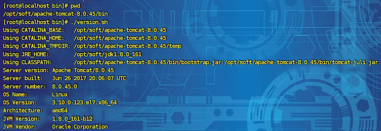 image-20250225144804286