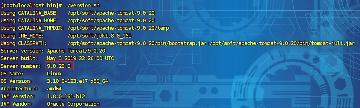 image-20250225151102047