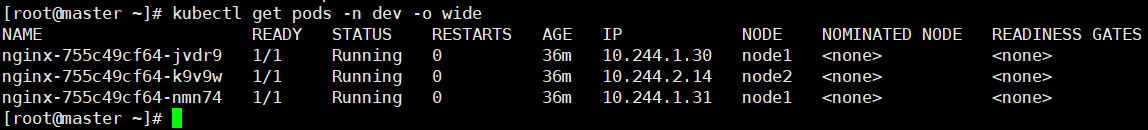 image-20250507092938278