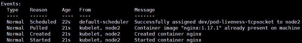 image-20250516103718828