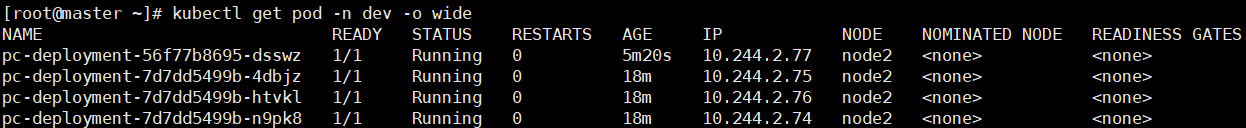 image-20250526115653907